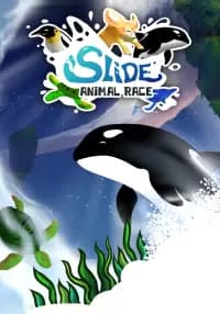 Slide - Animal Race